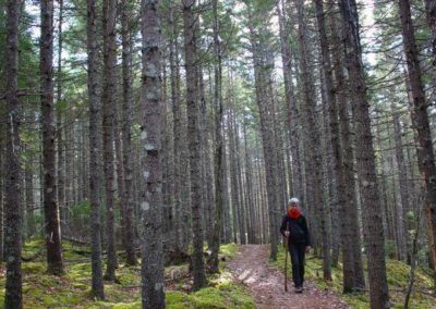 12-Pine-Court-Lot-Pic-2