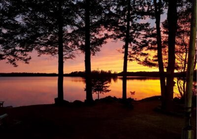 139Forest_9