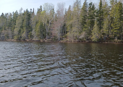 Waters Edge ShorFrt- Lot 21-6